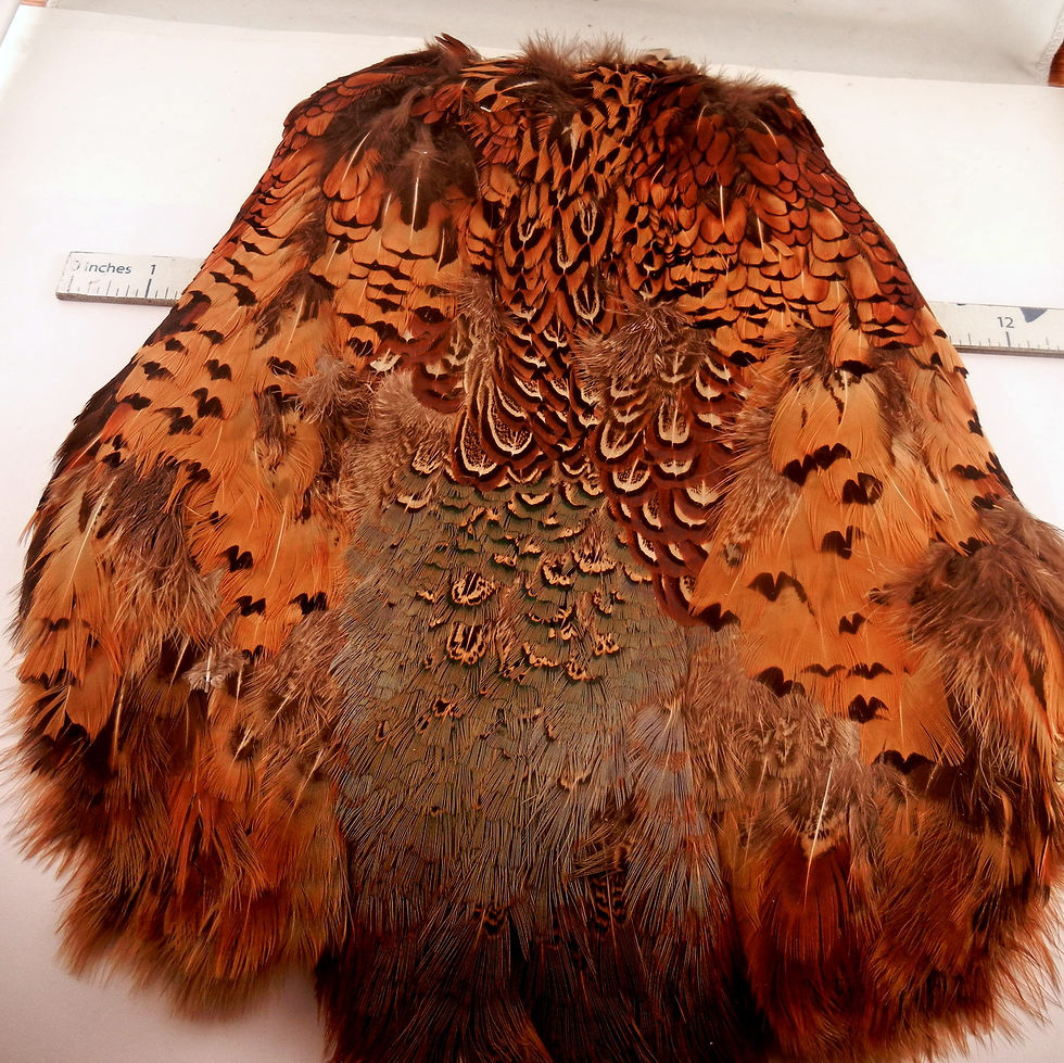 Ringneck Pheasant Skin