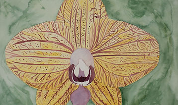 Orchid Watercolor.jpg