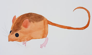 Salt March Harvest Mouse Watercolor.jpg