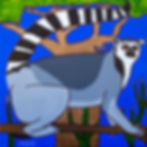 Lemur Adai