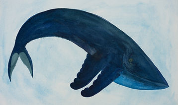 Humpback Whale Watercolor.jpg