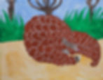 Pangolin