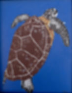 Green Sea Turtle for Chris & Lisa