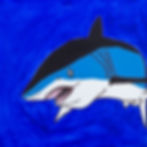 Short Finned Mako Shark