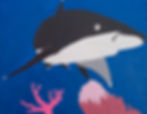 Silver Tip Shark