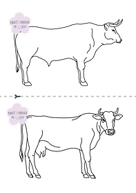 🖍️ Koordinačné omaľovánky