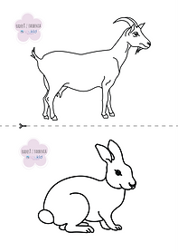 🖍️ Koordinačné omaľovánky