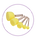Štetce