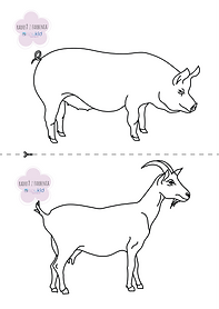 🖍️ Koordinačné omaľovánky