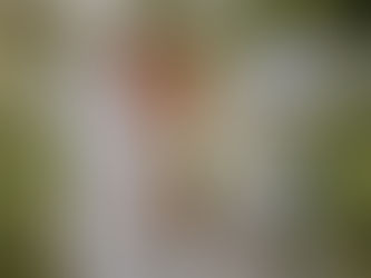 Cheyenne + Christian | Gracehill Vineyard, Auckland 