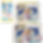 Thumbnail: Pokemon Battle Partners File Set Lillie (DAMAGED)