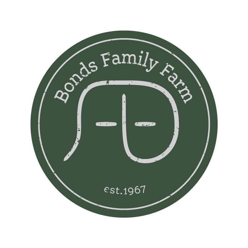 BFF-Brand-Logo.gif