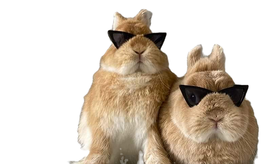 FB_IMG_1721446102257_edited.png