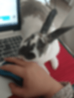 20210125_174755-ANIMATION