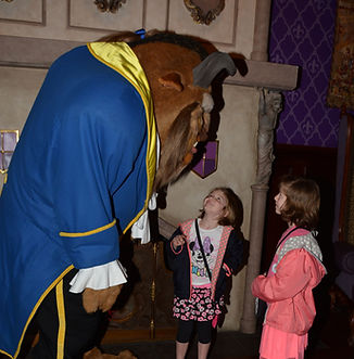ConciEARS Disney Vacation Planning