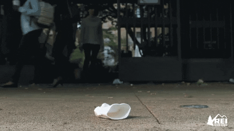 image-asset.gif