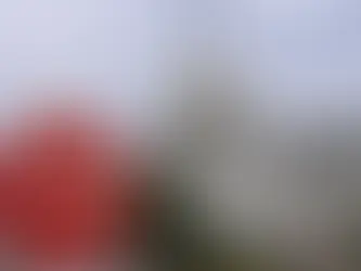 Washington entra en cuenta regresiva: bloqueo presupuestal amenaza servicios federales y economía