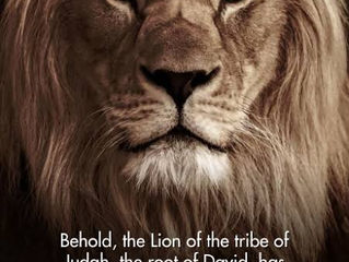LED BY THE LION OF JUDAH