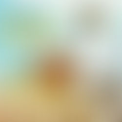 Livestreaming Service at Beit Ariel