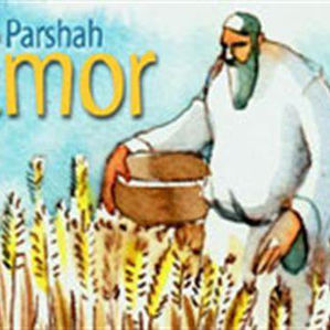 Livestreaming Service at Beit Ariel