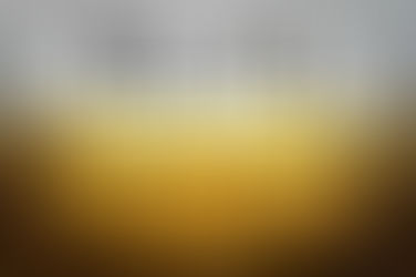 THE KING IS IN THE FIELD - מלך בשדה - MELEK BASHEDA