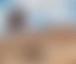 What a Goat in the Desert Taught Me About Forgiveness