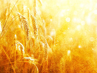 Mourning During the Omer