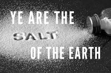 Talking Salt Sayings About Salt