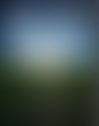 The Last Shall Be First