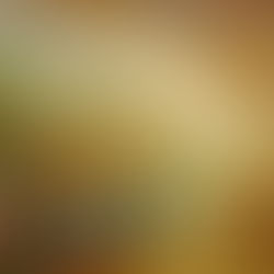 EREV SHAVUOTH - PENTECOST