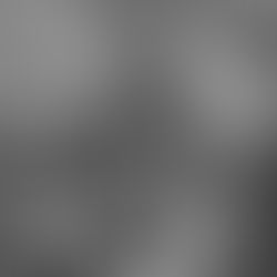 PARASHAT NOACH - נֹחַ | Noah