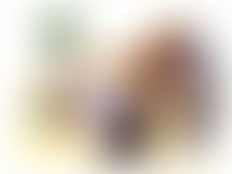 PARASHAT CHAYAI SARAH