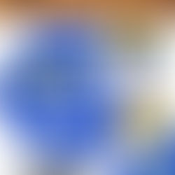 Vivienne Myburgh ICEJ at Beit Ariel