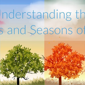 Discerning This Time and Season