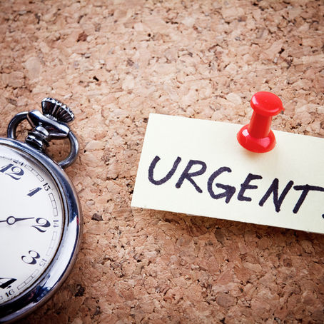 Urgent motions in family law