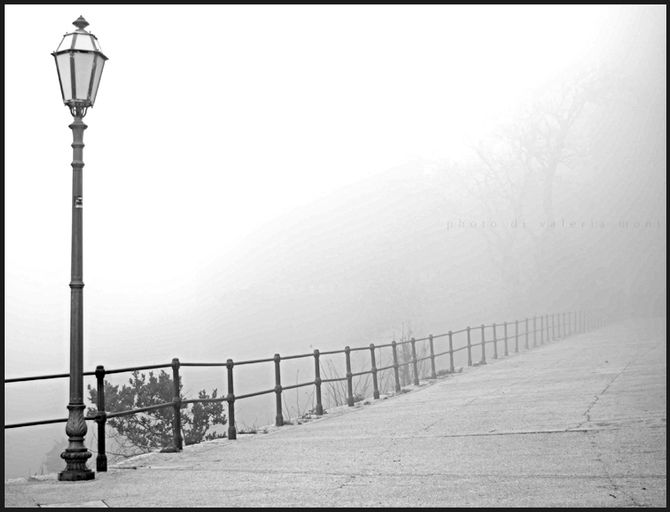 Il web e i psicologi