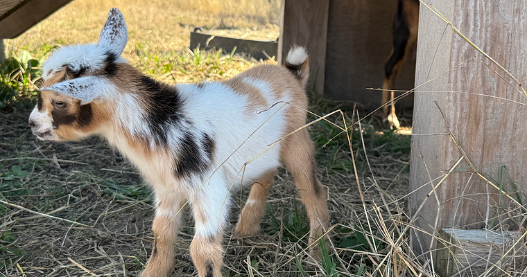 F91D2F2E-9A0B-4DEA-BD0B-B222D51427FA (1).heic