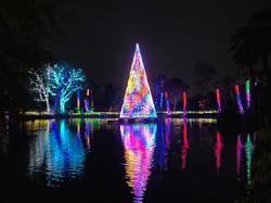 2022-11-01_02-53-45_145