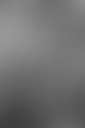 インドネシア人が旅した日本