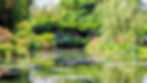 Monet's Lily Pond and Japanese bridge 