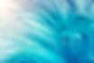 green-turquoise-feather-background.jpg