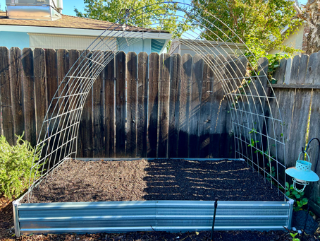 Is Fall a Good Time to Plant Garlic in Zone 9B?