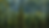 Peak Ethos Forest Background.png