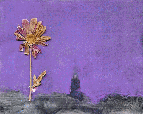 Found Footage Art GIF by anna malina.gif