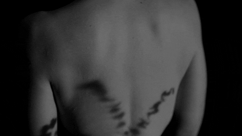 Black And White Hand GIF by Sub Pop Records (1).gif