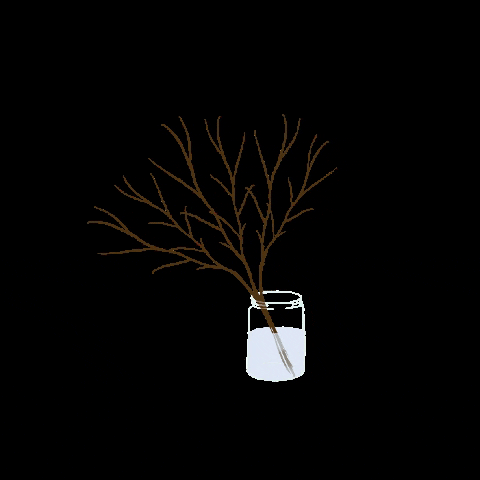 Flowers Spring GIF by francesca meana.gif
