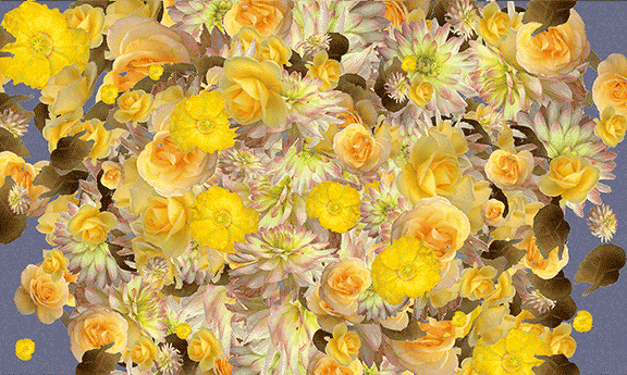 Flowers Bloom GIF by paoladlp.gif