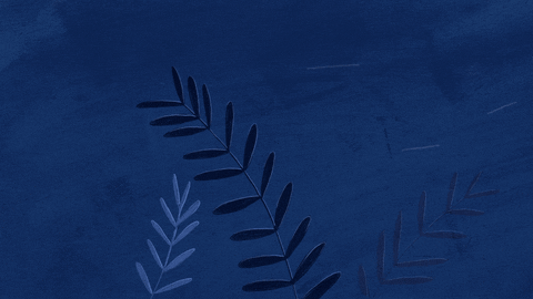 animation illustration GIF.gif