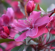 6f.jpg