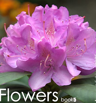 photo book5 any publishing 2.jpg